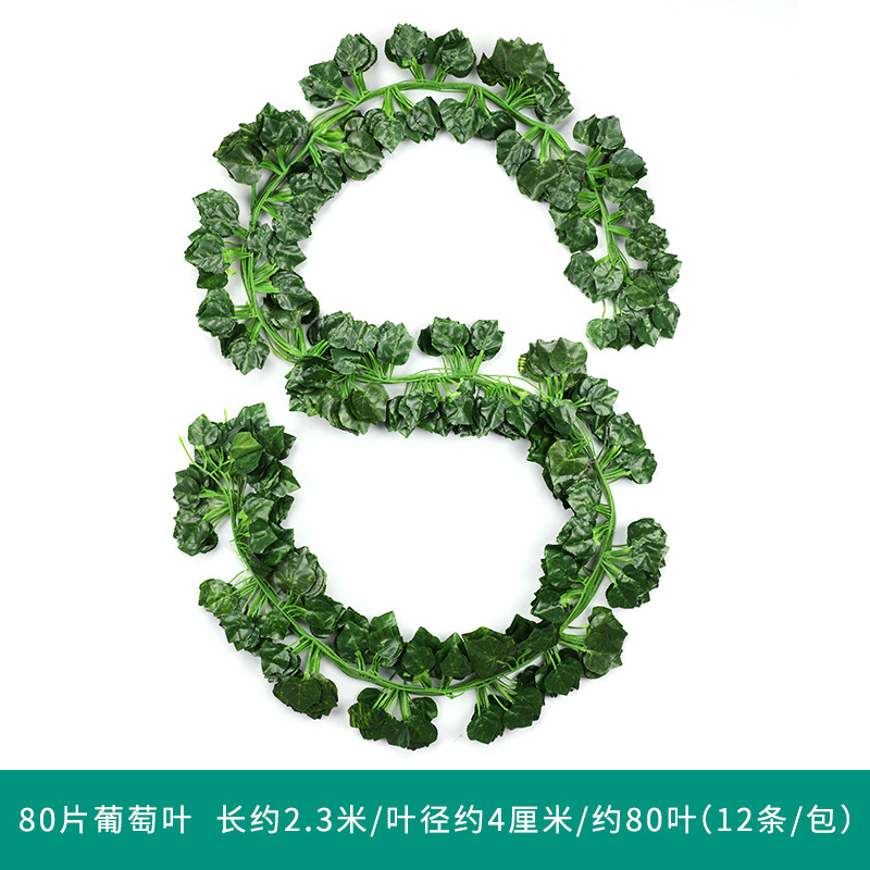 포도 잎 1 팩 (12)