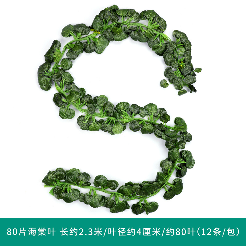 베고니아 잎 1 팩 (12)