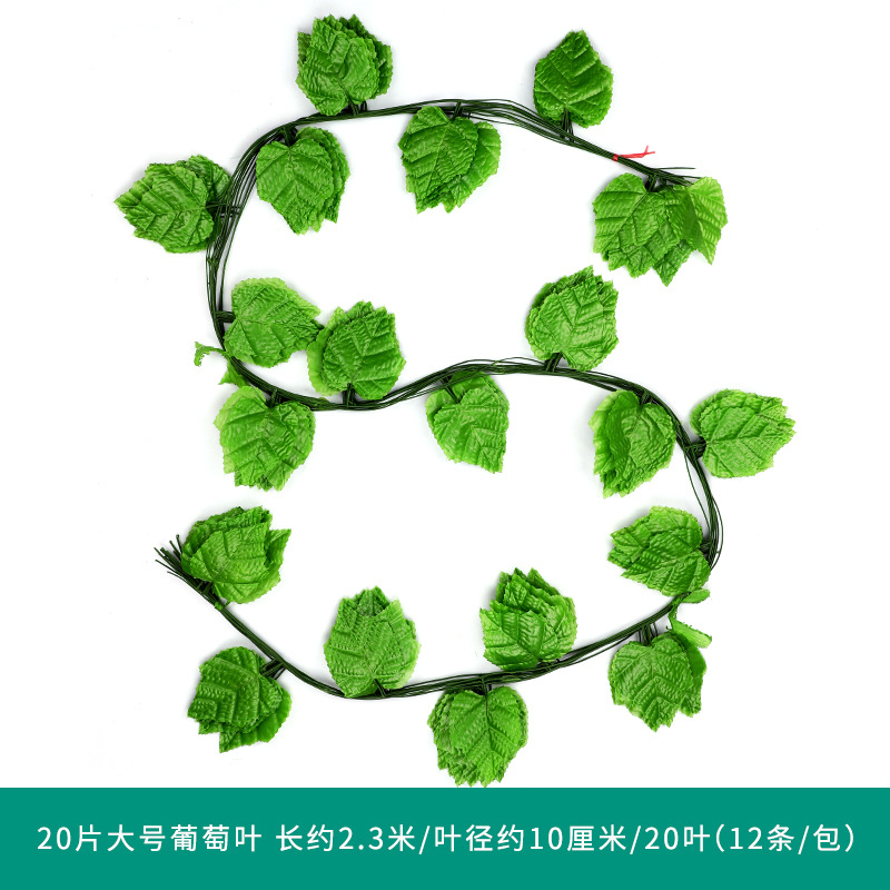 20 큰 평평한 포도 잎 1 팩 (12)