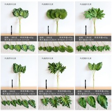 ���滨���~���~�Ӱ���С�����~����puֲ��ٻ��b����廨������