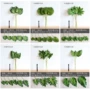仿真植物定制叶子假花