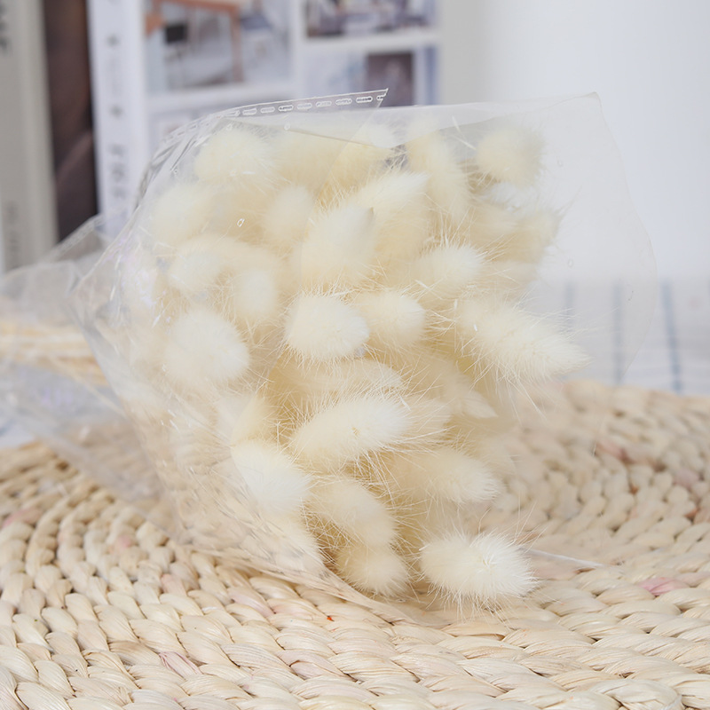 흰 토끼 꼬리 풀 60 개