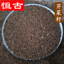 中药材芹菜籽 大货批发芹菜子 一件代发量大价优