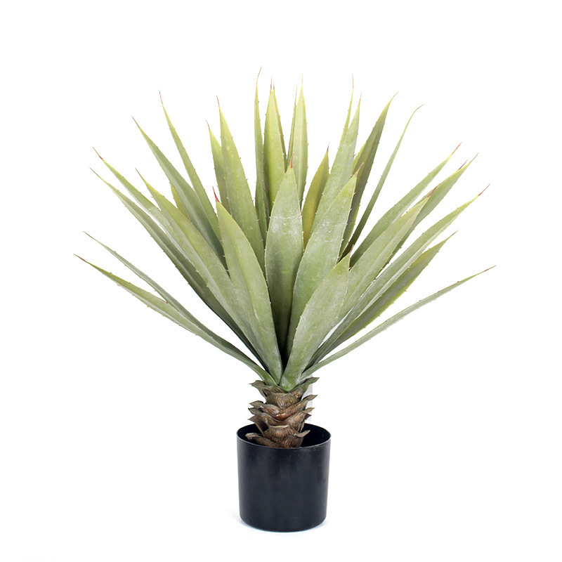 Directo de fábrica simulación Agave gladiolo en maceta hogar europeo bonsai Sala decoración al por mayor