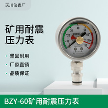 BZY-60˫ѹ80MPa60MPaDN10KJ10