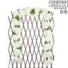 White Sakura Teng 1