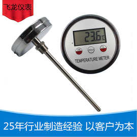 WSP-102热电阻温度计轴向型PT100数显温度计高精度双金属温度计