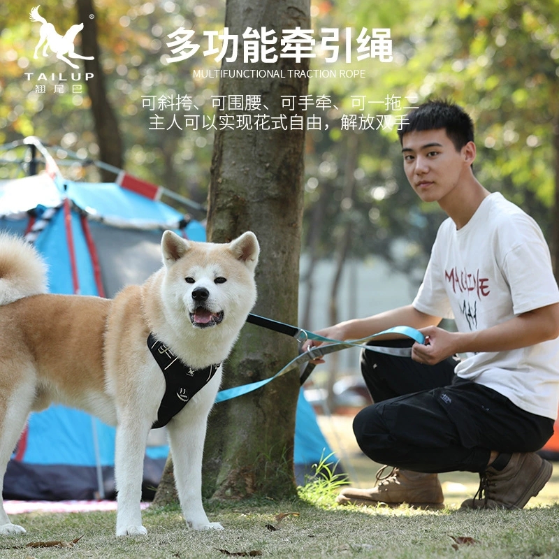 Производители принадлежностей для кошек и собак, один двухсторонний Многофункциональный поводок для домашних животных длиной 2,5 метра, шнурок для ремня для собак оптом