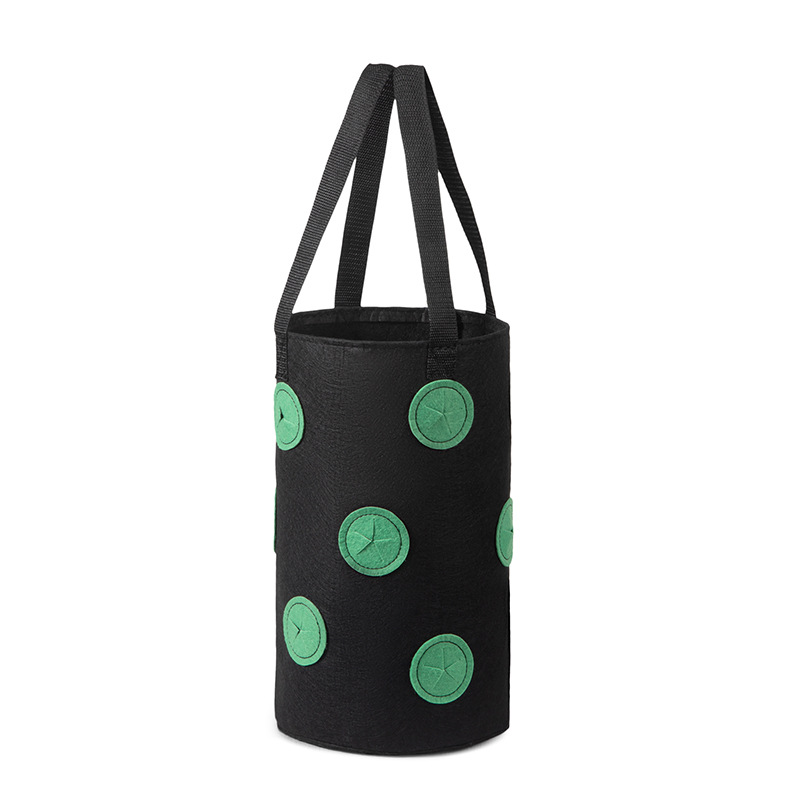 블랙 그린 도트