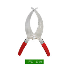 �д�һ���p�Эh��h���Q����Ƥ�h�����h�����Ҙ���٭h�����