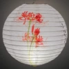 Bianhua 30cm comes with lights, poles and whiskers