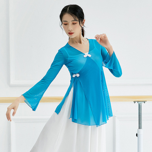 Classical dance rhyme gauze clothing art test dance practice clothing Chinese style ethnic ballet teacher modern dancer performance clothing