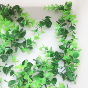 �z�W�����l DIY��� �zӰ���� �廨��� �ȼ����~�����~�� ����~