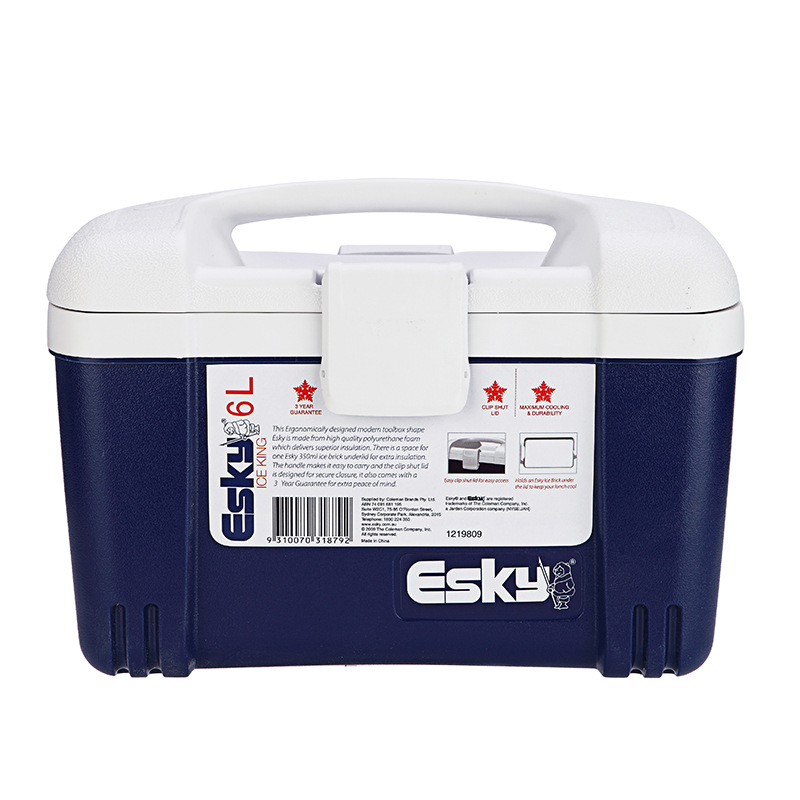 Esky al aire libre conveniente 6l incubadora de alimentos al por mayor de transporte de mariscos pu caja refrigerada cadena de frío caja de entrega de picnic
