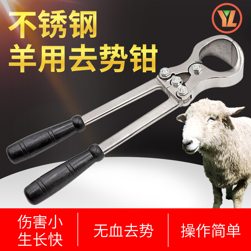 羊用去势钳羊牛用阉割钳去势夹 不锈钢煽羊钳兽用无血去势器