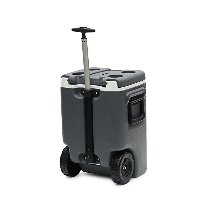 IceMaster 25L carro al aire libre picnic incubadora con ruedas alimentos y bebidas cadena de frío caja de distribución caja de alimentos frescos