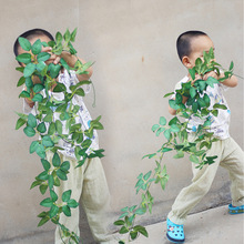 �羳؛Դ ���Sֱ�N �����ٗl õ���~������ ��c�b�픻��~����