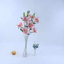 �S�ҹ����S�ҹ�����c���컨3D�ٺ��ָ��|�л��m�ٺ��ֹ����߷���
