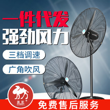 750ţ�������l �������I�L�� ���ʽ��L�� ���ƒ�ړu�^�L��