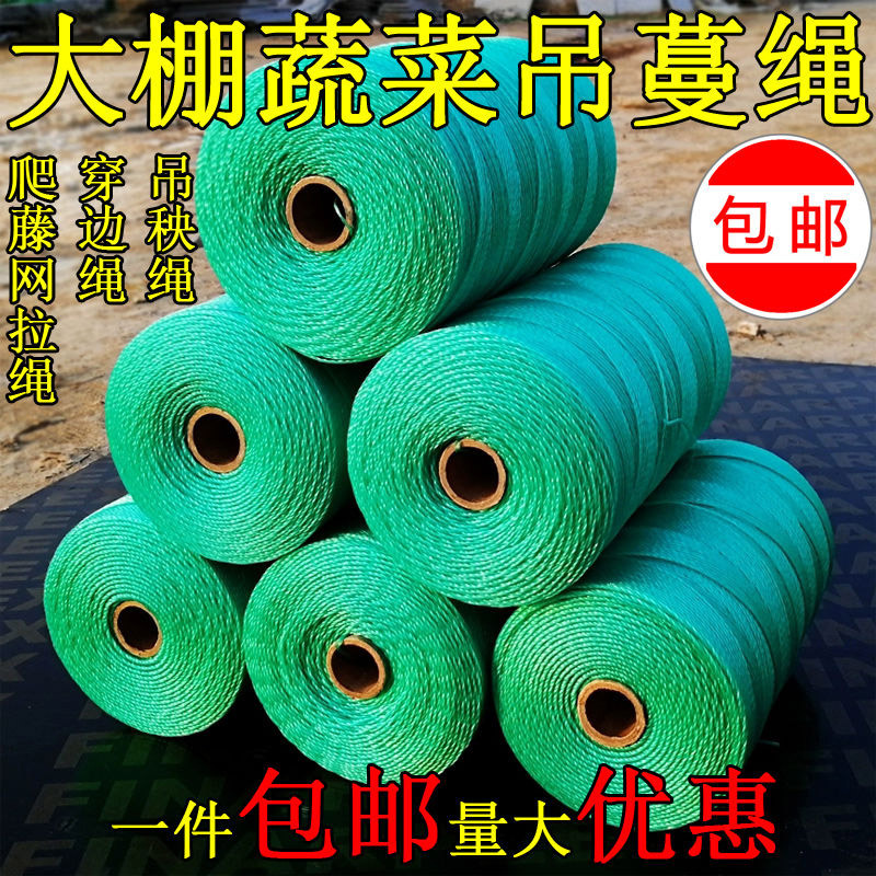 吊秧绳批发 瓜果蔬菜种植吊秧绳爬藤网拉绳 厂家直供果蔬爬绳