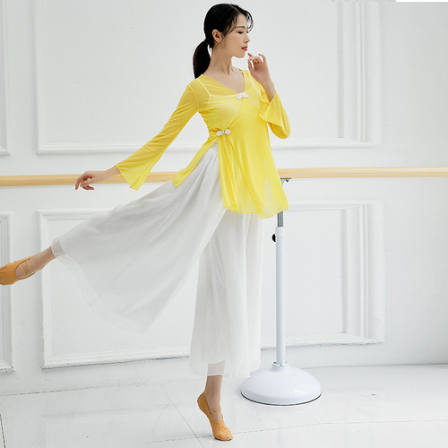 Classical dance rhyme gauze clothing art test dance practice clothing Chinese style ethnic ballet teacher modern dancer performance clothing