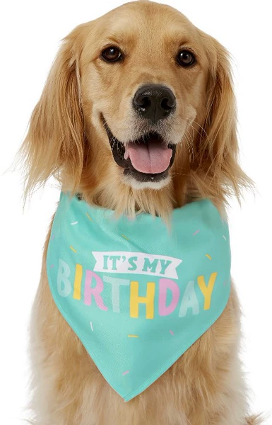 Birthday Triangle Blue