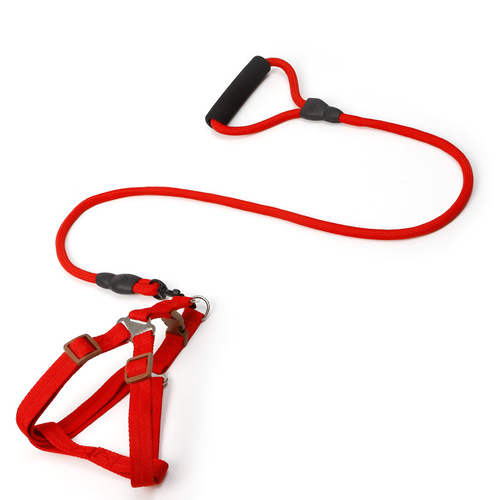 Pet leash small dog Pipitao round rope chest and back foam handle solid color climbing rope dog rope wholesale