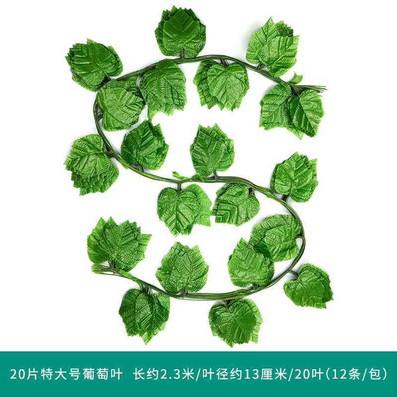 20 초대형 플랫 포도 잎 1 팩 (12)
