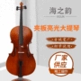练习演奏普及实木大提琴