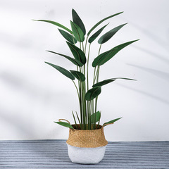 Simulated tree simulated pot plant floor landscape decoration ice beauty paradise bird indoor living room landscape plant