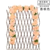 1 champagne cherry blossom rattan