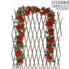 16 heads of rose red 1