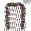 16 heads of rose purple 1