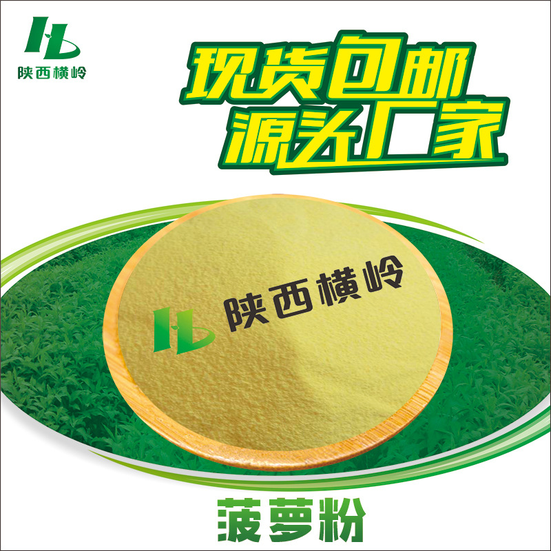 菠萝粉 凤梨果粉 浓缩菠萝汁粉 饮料烘焙用 1KG起订 量大优惠现货