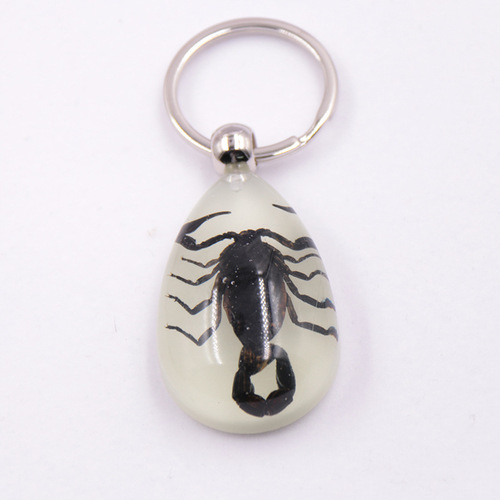 Large Amber Night-Luminous Insect Keychain Decor with Real Insect Specimens, Hot Selling in Scenic Areas, Factory Wholesale