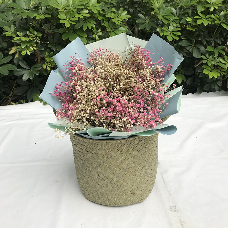 TGP6 color natural hecho a mano algas tejidas olla cesta simple decoración Almacenamiento de mano maceta escritorio pequeño florero