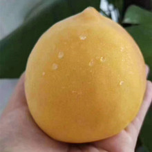 ���س����S������� ������ڸд��������^�ӹ��S�Ҙ���