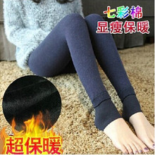 秋冬新款 七彩棉打底裤加厚加绒一体裤 加大加长不倒绒保暖裤批发