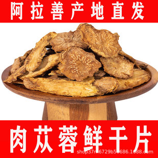 Į���S��ֱ�N���ɹ��iꖰ�������ɐ���ﶬ����ɐ��Ƭ���l����