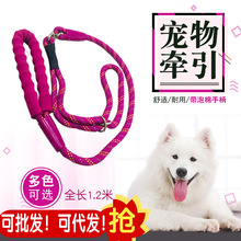 批发 意潇泡棉8字扣项圈套装牵引圆绳牵引带狗绳子狗链子中型犬