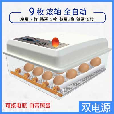 Incubadora de pollos al por mayor de comercio exterior, incubadora inteligente pequeña para el hogar, incubadora de huevos transfronteriza, incubadora de huevos inteligente