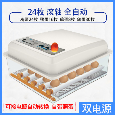 Incubadora de pollos al por mayor de comercio exterior, incubadora inteligente pequeña para el hogar, incubadora de huevos transfronteriza, incubadora de huevos inteligente