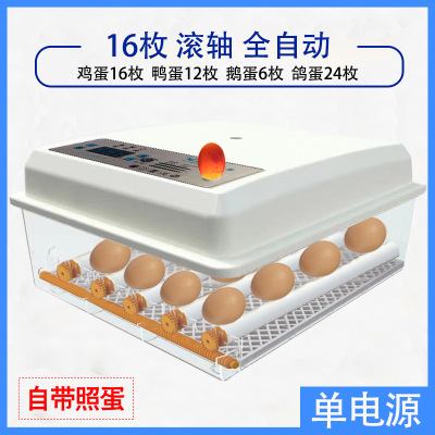 Incubadora de pollos al por mayor de comercio exterior, incubadora inteligente pequeña para el hogar, incubadora de huevos transfronteriza, incubadora de huevos inteligente