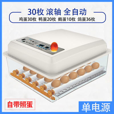 Incubadora de pollos al por mayor de comercio exterior, incubadora inteligente pequeña para el hogar, incubadora de huevos transfronteriza, incubadora de huevos inteligente