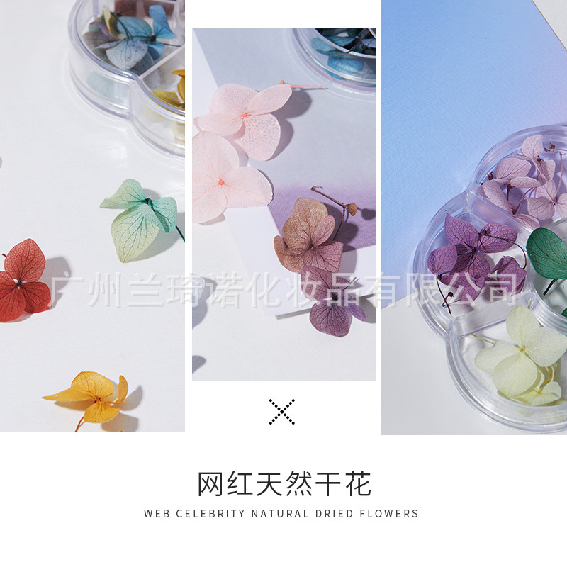 Transfronterizo nueva manicura flor seca Flor eterna de estilo japonés Ziyang flor gradiente de color manicura joyería calcomanías tres opcionales