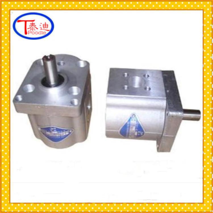 CBS-E306双向齿轮泵 复合双向齿轮泵 双向液压泵