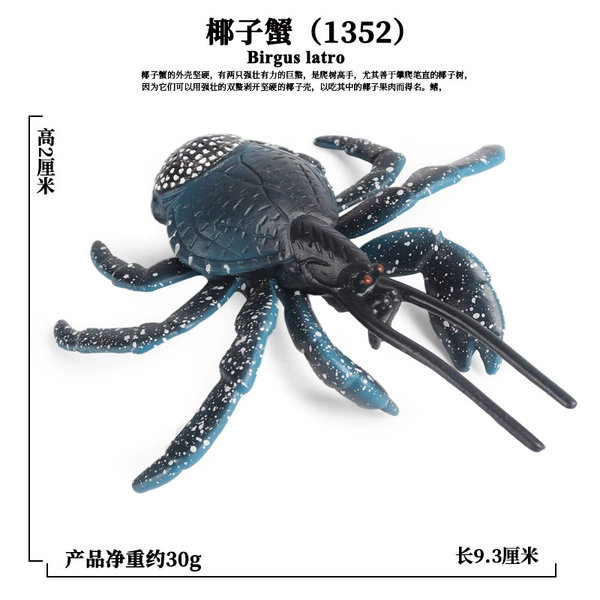 PL127-1352 Coconut Crab