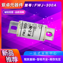 FWJ-200A 400FMM 710MMT 32FE�۶���