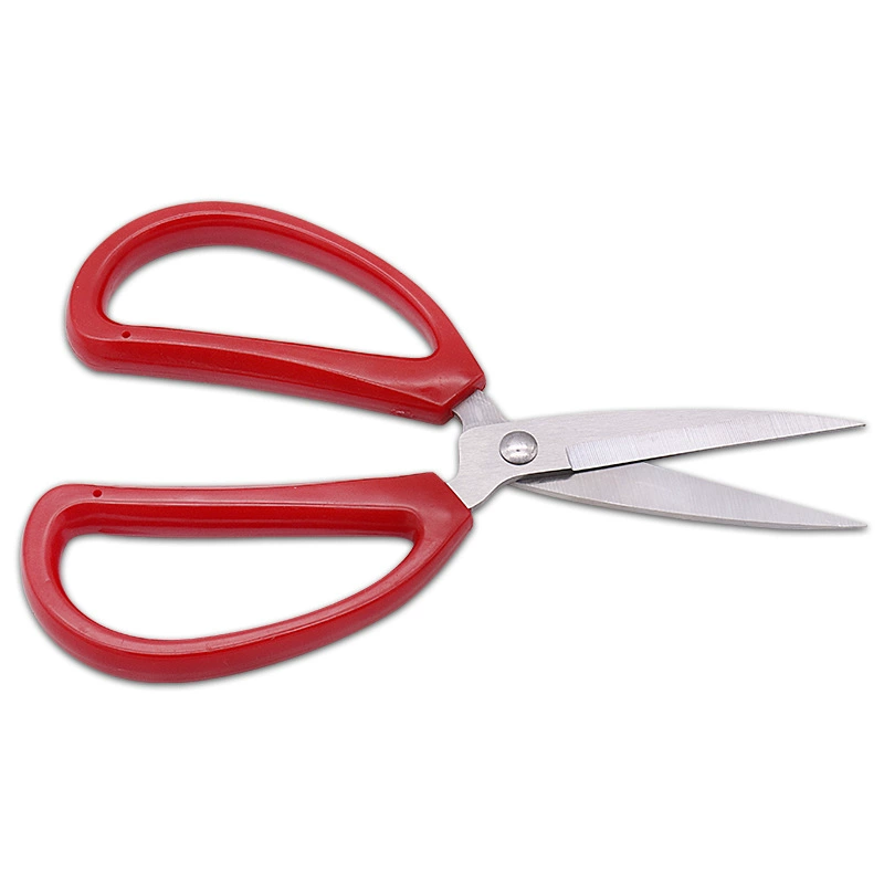 Scissors stainless steel reusable, (Physicals)