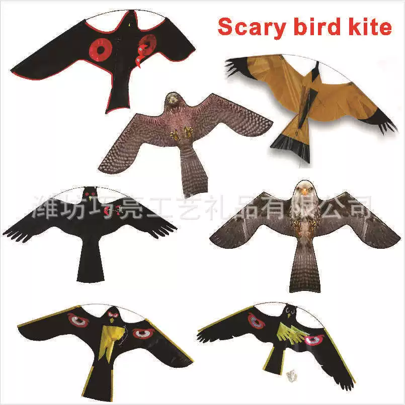 Kite, eagle